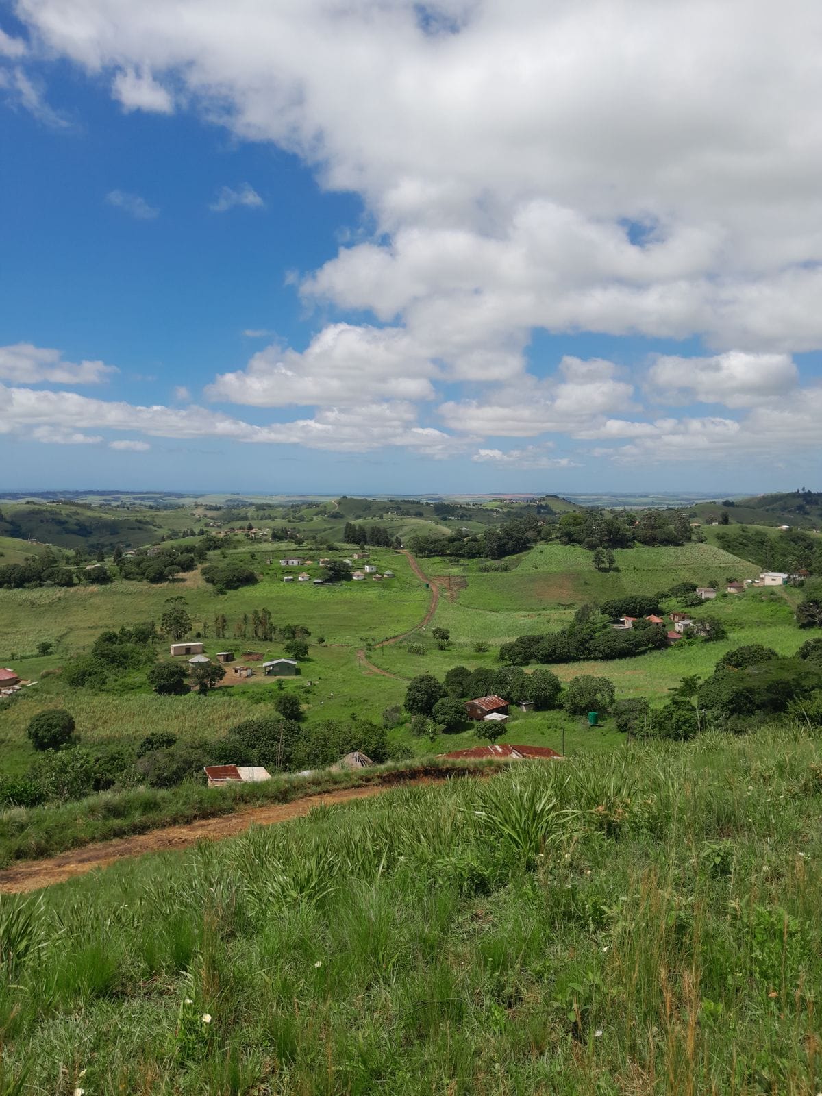 Open residential plot and agricultural land for sale in Nashik